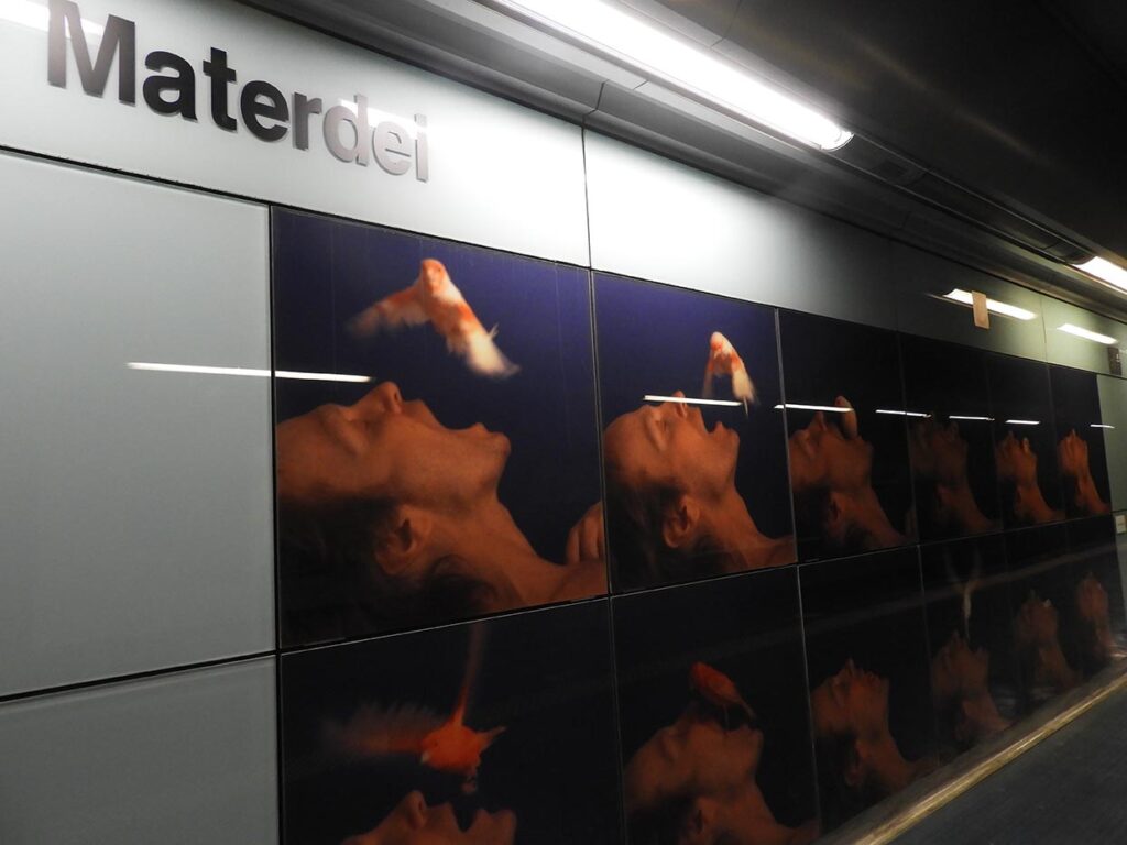 Materdei